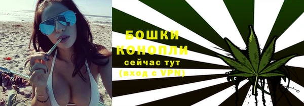 ГАЛЛЮЦИНОГЕННЫЕ ГРИБЫ Гусь-Хрустальный