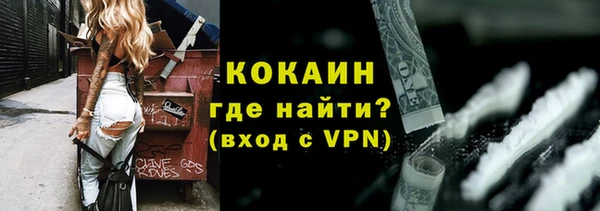 прущая мука Вяземский