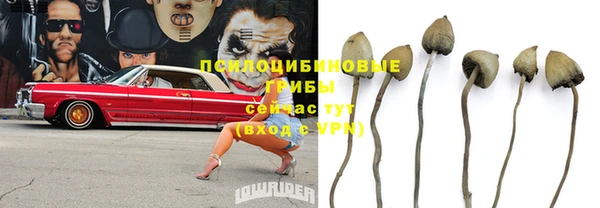 каннабис Гусев