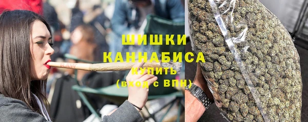 шишки Гусиноозёрск