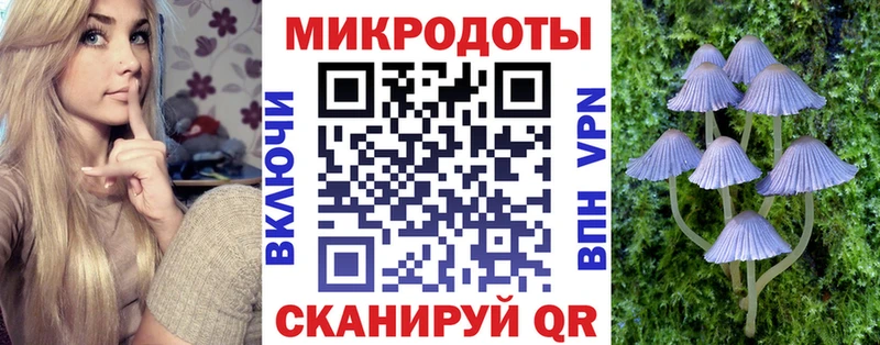 Псилоцибиновые грибы Psilocybine cubensis  Купить  Курильск 